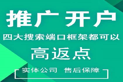某品牌通过百度广告实现快速增长的案例